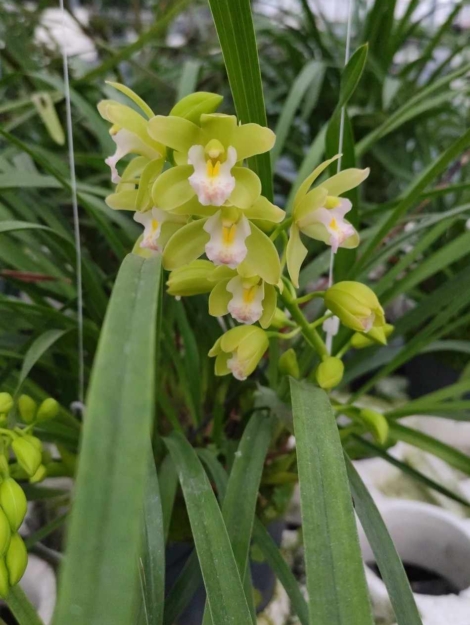 Business Suite_creation_1828430924536164