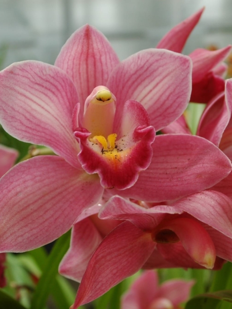 WhatsApp Image 2025-05-19 at 07.02.13