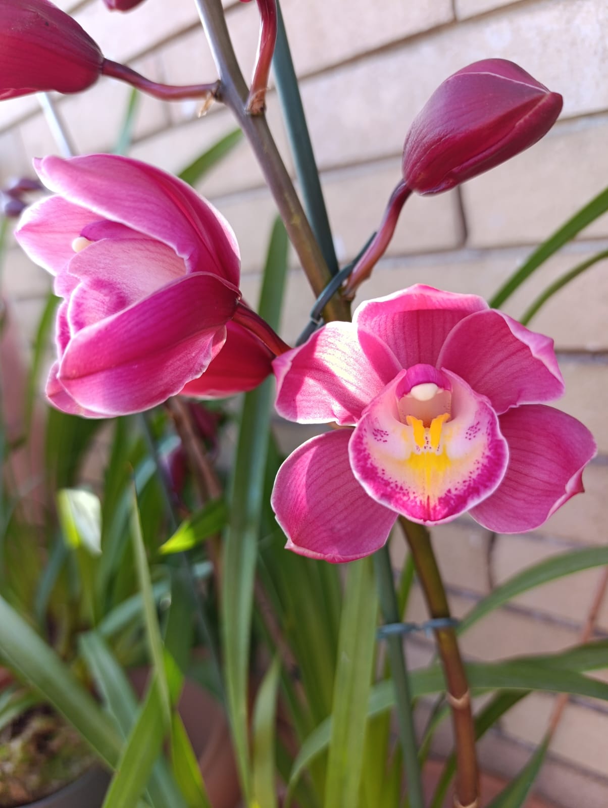 WhatsApp Image 2025-12-09 at 09.10.17