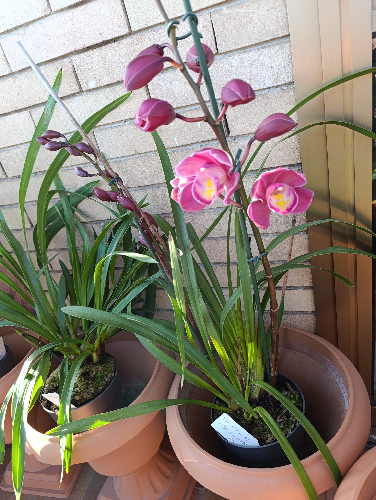 WhatsApp Image 2025-12-09 at 10.02.54