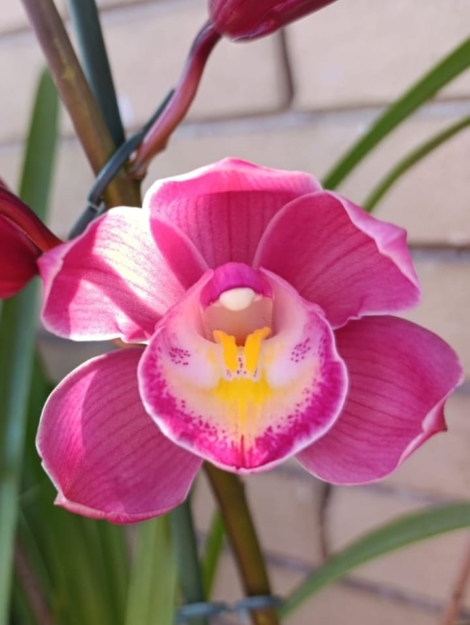 WhatsApp Image 2025-12-09 at 10.07.22