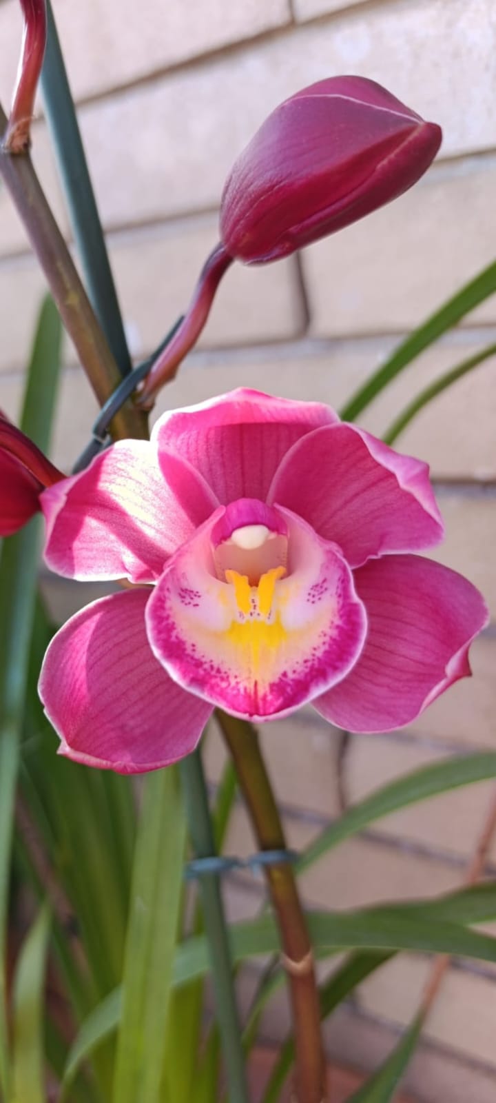 WhatsApp Image 2025-12-09 at 10.07.22