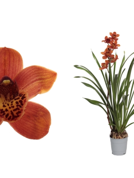 64A4FC53-FDA5-4368-B140-159F60B00CCC