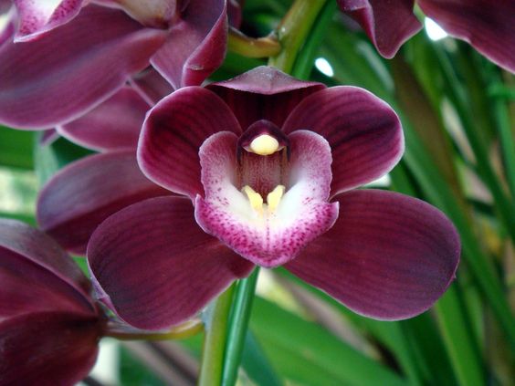 49ba3872ddc960ab3b99d3baacb871b4