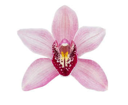 Screenshot 2025-11-26 201114