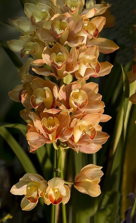 Screenshot 2022-10-14 16.16.06