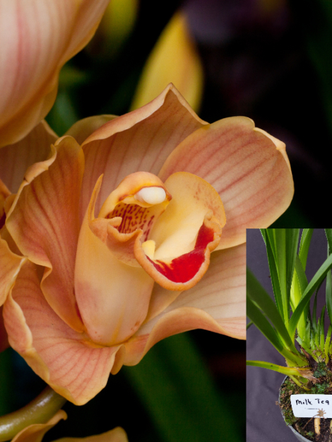 Untitled Project (5)