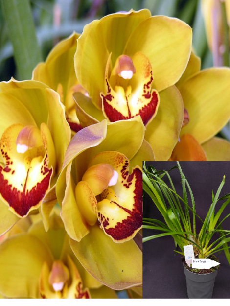 Untitled Project (6)