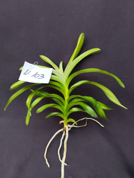 IMG_20260219_154438 (1)