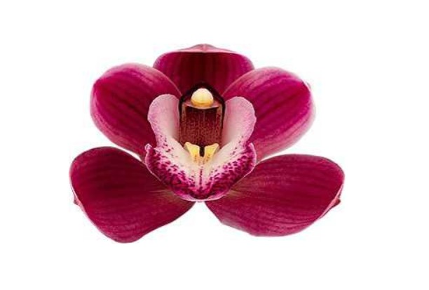 Screenshot 2026-03-20 074904