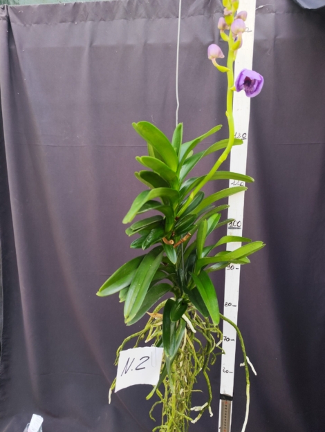 IMG_20260428_165022 (1)