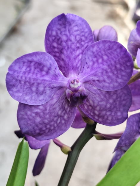 IMG_20260428_170951 (1)