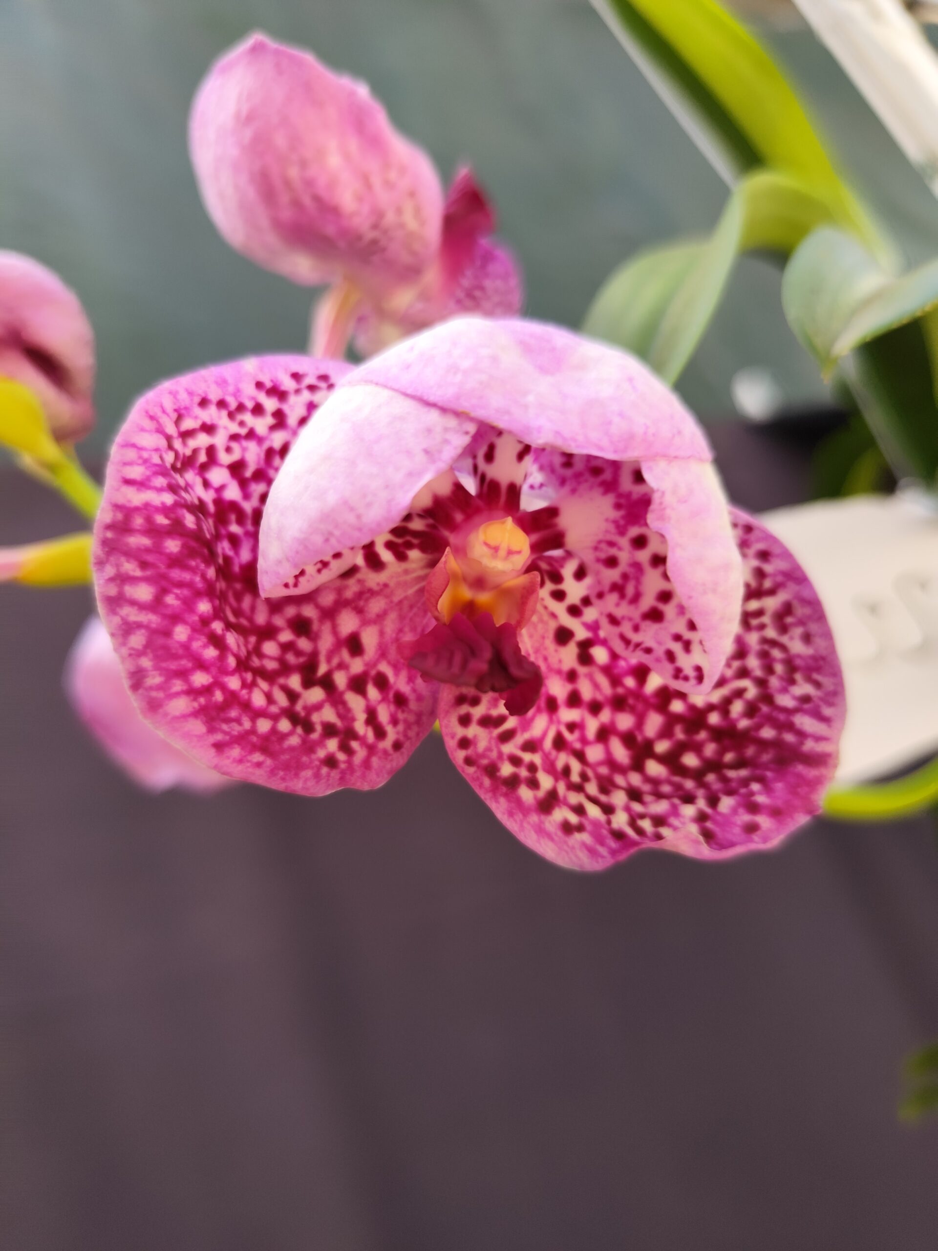 IMG_20260613_120916