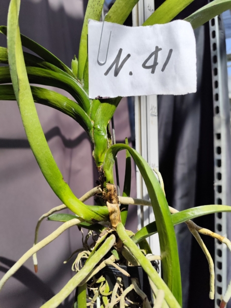 IMG_20260901_121151